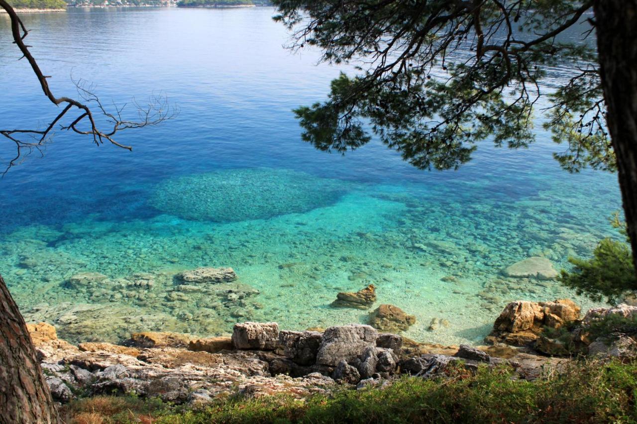 Apartments By The Sea Ubli, Lastovo - 8354 Uble Bagian luar foto